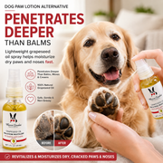 Warren London Grapeseed Oil Paw and Nose Revitalizer - Professional Size Spa Product White Smoke
