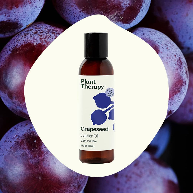 Plant Therapy Grapeseed Carrier Oil Body Care Seashell 4 oz