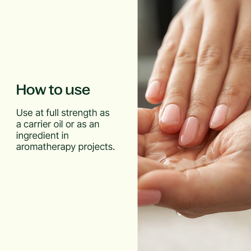 Plant Therapy Grapeseed Carrier Oil Body Care Seashell 4 oz
