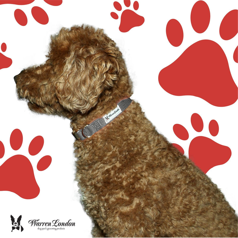 Warren London Fabric Dog Collar - Grey Leashes, Collars & Accessories White Smoke Small (10"-14"),Medium (13"-19"),Large (16"-26")