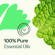 Plant Therapy Gut Aid™ Essential Oil Blend Essential Oil Seashell 10 mL,30 mL