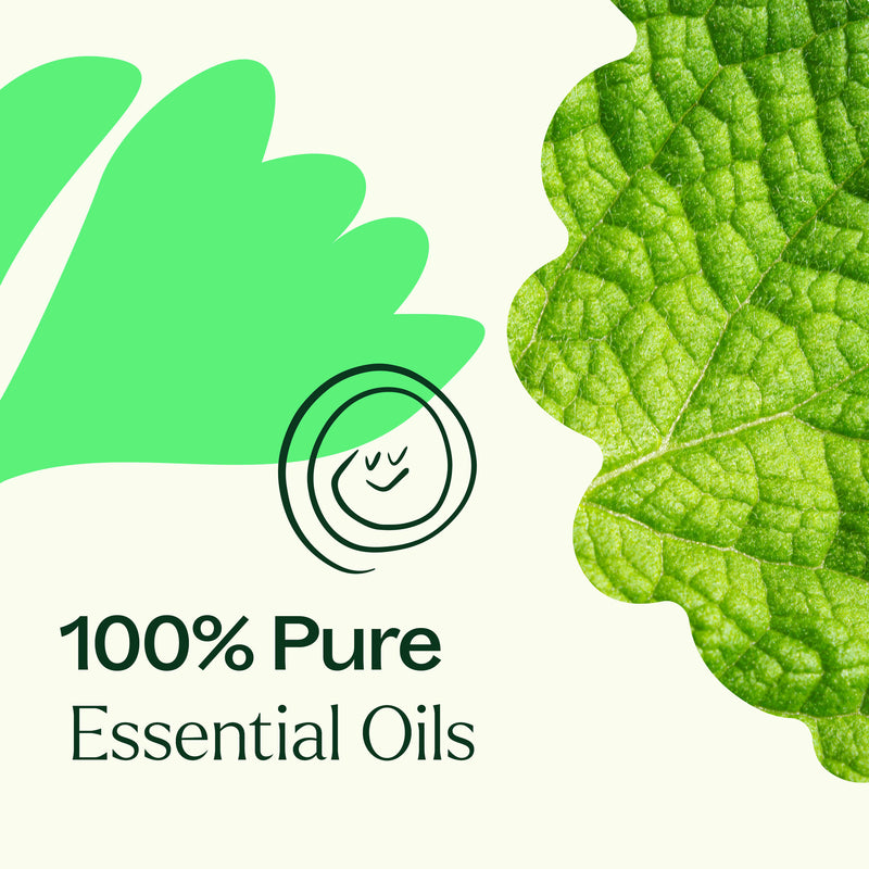 Plant Therapy Gut Aid™ Essential Oil Blend Essential Oil Seashell 10 mL,30 mL