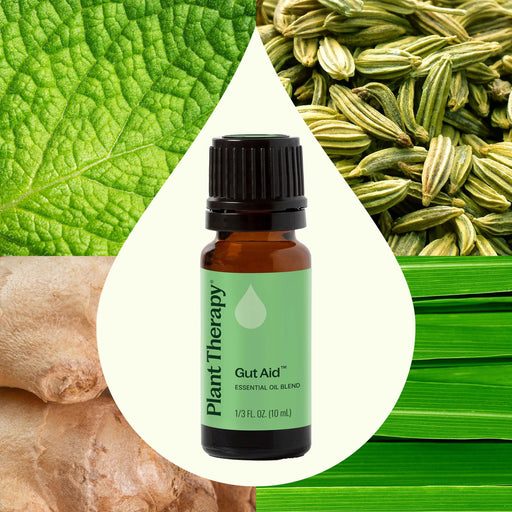 Plant Therapy Gut Aid™ Essential Oil Blend Essential Oil Seashell 10 mL,30 mL