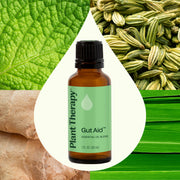 Plant Therapy Gut Aid™ Essential Oil Blend Essential Oil Seashell 10 mL,30 mL