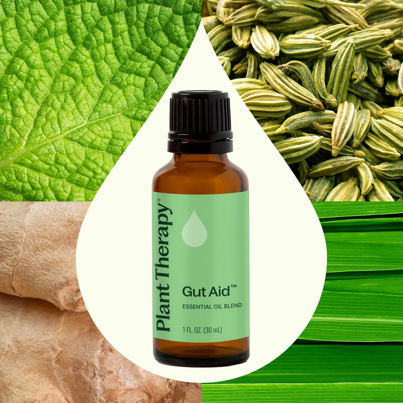 Plant Therapy Gut Aid™ Essential Oil Blend Essential Oil Seashell 10 mL,30 mL