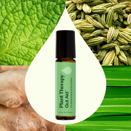 Plant Therapy Gut Aid™ Essential Oil Blend Pre-Diluted Roll-On Essential Oil Seashell 10 mL