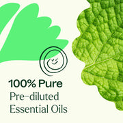 Plant Therapy Gut Aid™ Essential Oil Blend Pre-Diluted Roll-On Essential Oil Seashell 10 mL