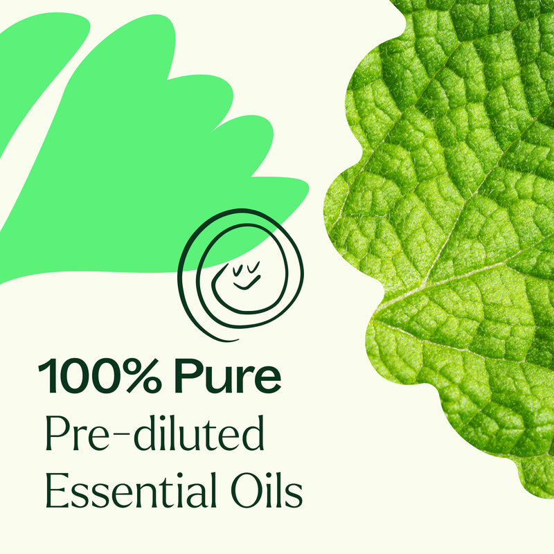 Plant Therapy Gut Aid™ Essential Oil Blend Pre-Diluted Roll-On Essential Oil Seashell 10 mL