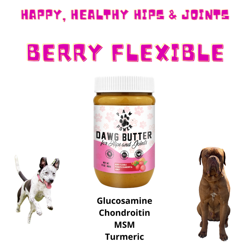 Paw Power Nutrition Dawg Butter Berry Flexible for Hips & Joints White Smoke