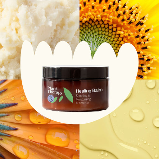 Plant Therapy Healing Balm Body Care Seashell 4 oz