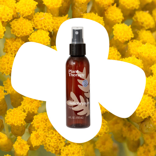 Plant Therapy Helichrysum Hydrosol Body Care White Smoke 4 oz