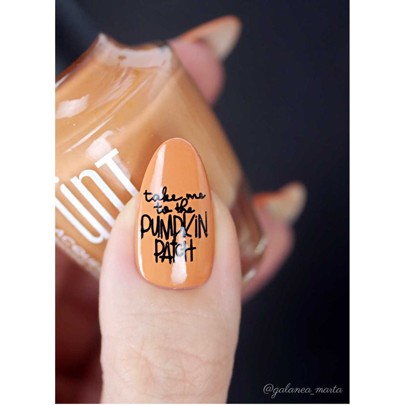 UberChic Beauty Hello Fall & Pumpkin Spice-02 Stamping Plate Tan