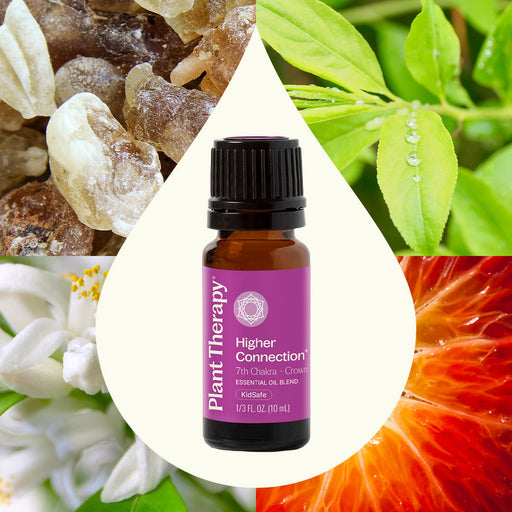 Plant Therapy Higher Connection (Crown Chakra) Essential Oil Essential Oil Seashell 10 mL