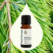 Plant Therapy Himalayan Cedarwood Essential Oil Essential Oil Seashell 10 mL,30 mL
