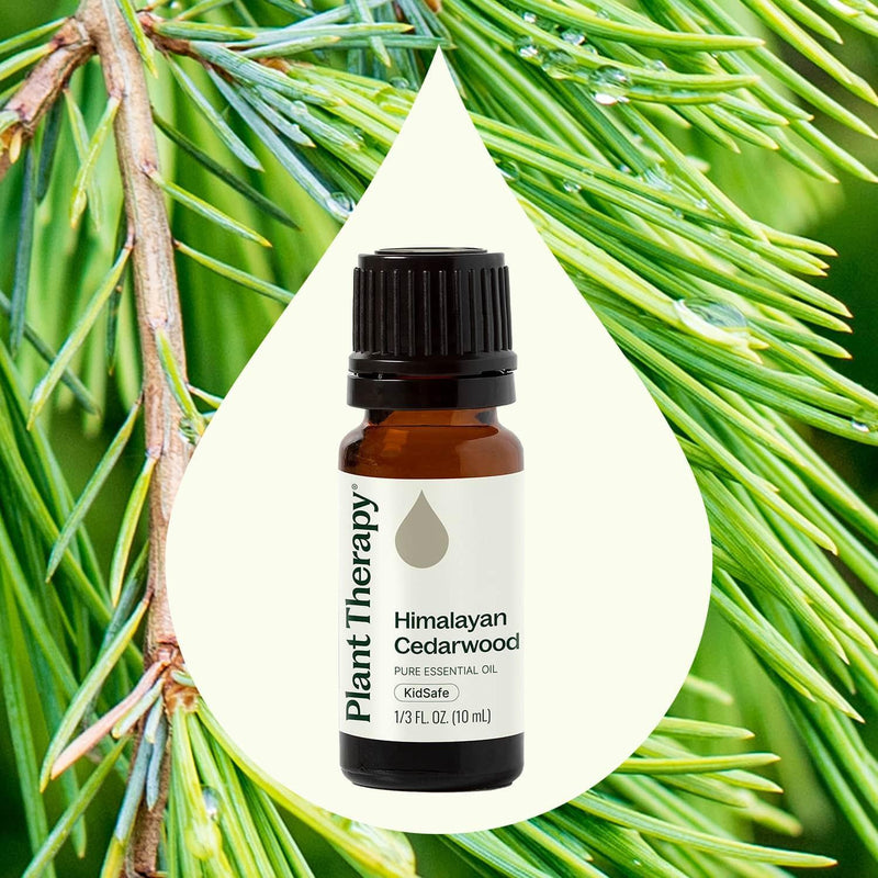 Plant Therapy Himalayan Cedarwood Essential Oil Essential Oil Seashell 10 mL,30 mL