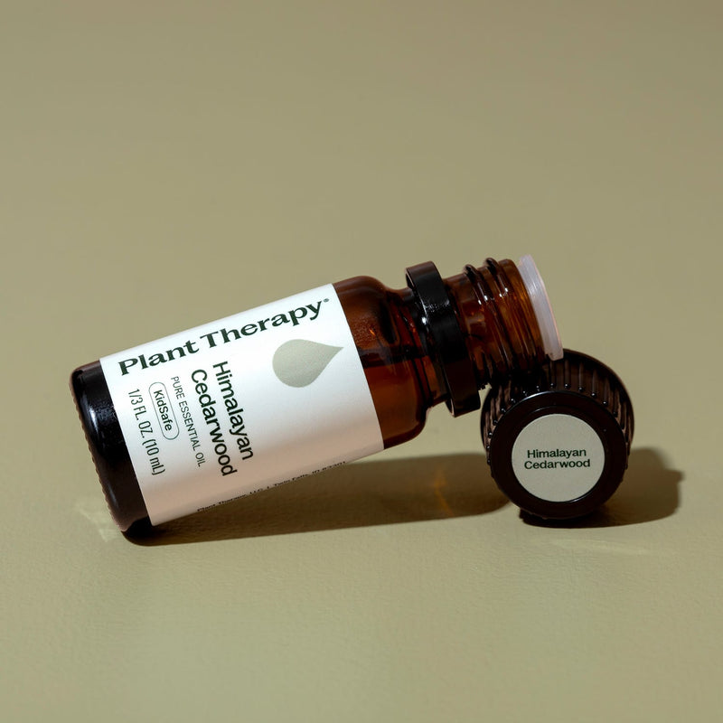 Plant Therapy Himalayan Cedarwood Essential Oil Essential Oil Rosy Brown 10 mL,30 mL