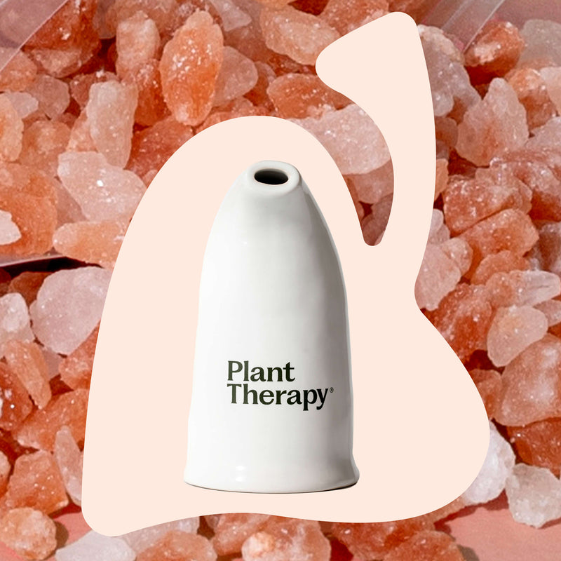 Plant Therapy Himalayan Salt Inhaler Diffuser Wheat