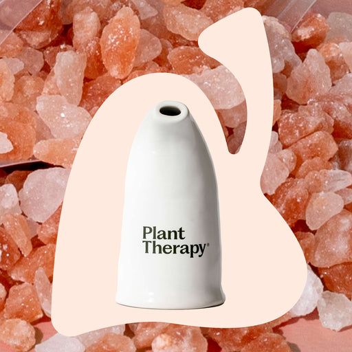 Plant Therapy Himalayan Salt Inhaler Diffuser Wheat