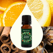 Plant Therapy Holiday Season Essential Oil Blend Essential Oil Seashell 10 mL,30 mL
