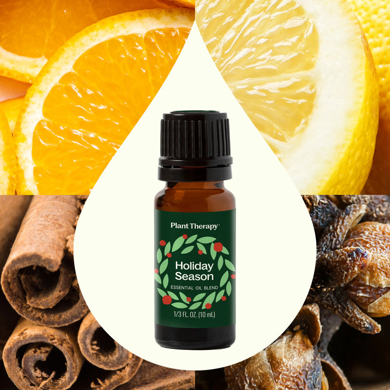 Plant Therapy Holiday Season Essential Oil Blend Essential Oil Seashell 10 mL,30 mL