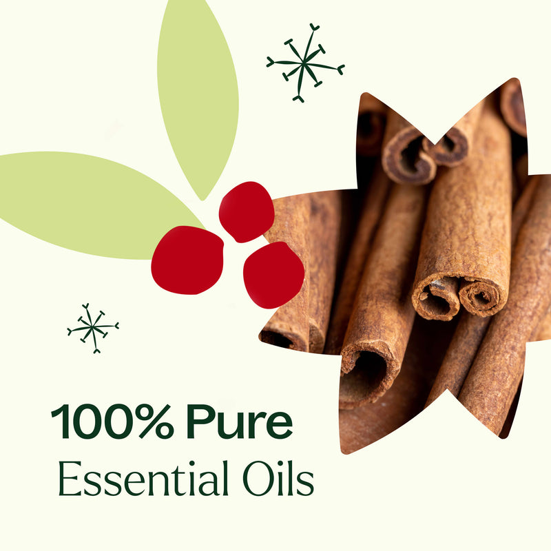 Plant Therapy Holiday Season Essential Oil Blend Essential Oil Seashell 10 mL,30 mL