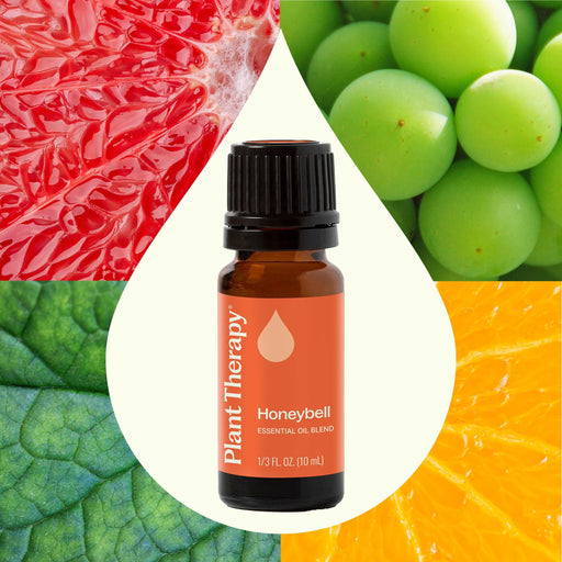 Plant Therapy Honeybell Essential Oil Blend Essential Oil Seashell 10 mL,30 mL