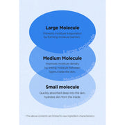 AsiaBeautyMall Isntree Hyaluronic Acid Aqua Gel Cream Moisturizer Lavender