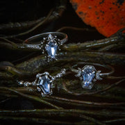 Fragrant Jewels Enchanted Evening - Candle and Bath Bomb Set Bundle (Candle & Bath Bomb) Black Ring / 5 / Rhodium Plated,Ring / 6 / Rhodium Plated,Ring / 7 / Rhodium Plated,Ring / 8 / Rhodium Plated,Ring / 9 / Rhodium Plated,Ring / 10 / Rhodium Plated,Ring / 5 / 925 Sterling Silver,Ring / 6 / 925 Sterling Silver,Ring / 7 / 925 Sterling Silver,Ring