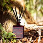 Good & Well Supply Co Acadia National Park Reed Diffuser Black