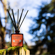 Good & Well Supply Co Joshua Tree National Park Reed Diffuser Black