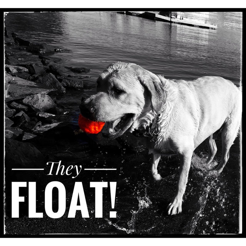 WACKYstore WUNDERball - Best Fetch Toy Black (XL) Over 80 lbs. / Swirl,(XL) Over 80 lbs. / Orange,(XL) Over 80 lbs. / Green,(XL) Over 80 lbs. / Pink,(XL) Over 80 lbs. / Purple,(LARGE) up to 80 lbs. / Swirl,(LARGE) up to 80 lbs. / Orange,(LARGE) up to 80 lbs. / Green,(LARGE) up to 80 lbs. / Pink,(LAR