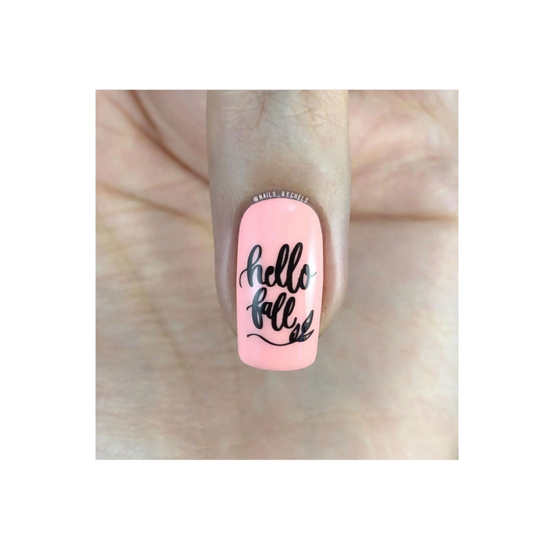 UberChic Beauty Hello Fall & Pumpkin Spice Stamping Plate Dark Gray