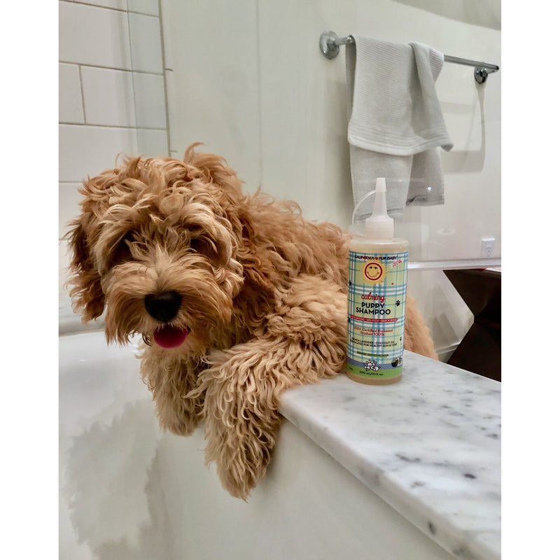 California Baby Calming™ Puppy + Dog Wash Fur Baby Dark Gray 10oz/295mL