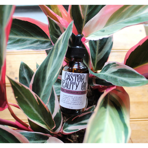 Apotheke DuJardin Castor Beauty Oil | Anti-aging Seashell