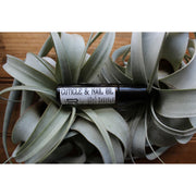 Apotheke DuJardin Cuticle & Nail Oil | STRENGTHEN | GROW | CONDITION Black