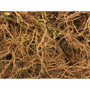 Portland Ashwagandha Farm Ashwagandha Fresh Spagyric Tincture – Pacific Northwest Grown Tincture Saddle Brown 2oz,4oz