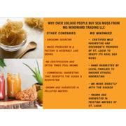 MG Windward Trading LLC Certified Pure Wild Harvested Organic Gold Raw Sea Moss Raw Sea Moss Goldenrod 4oz,8oz,1 pound,5 pounds,10 pounds,20 pounds