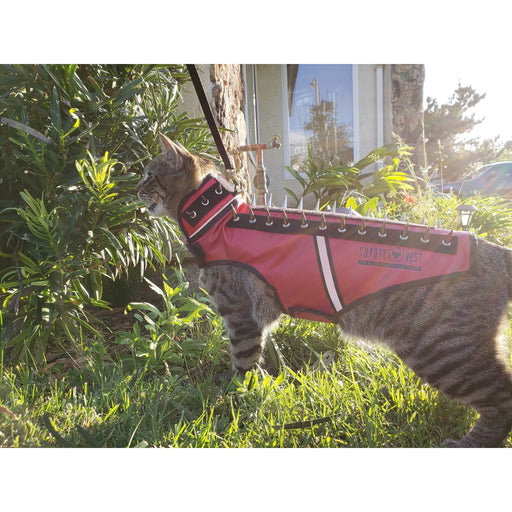CoyoteVest SpikeVest for Cats Vest Dark Slate Gray Extra Small / Red,Extra Small / Yellow,Extra Small / Neon Pink,Extra Small / Turquoise,Extra Small / Royal Blue,Extra Small / Texas Tan,Extra Small / Fluorescent Orange,Small / Red,Small / Yellow,Small / Neon Pink,Small / Turquoise,Small / Royal Blue,Smal