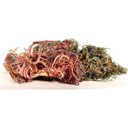 MG Windward Trading LLC Pure Certified Wild Harvested Full Spectrum Organic Raw Sea Moss Raw Sea Moss Wheat 16oz,8oz,4oz