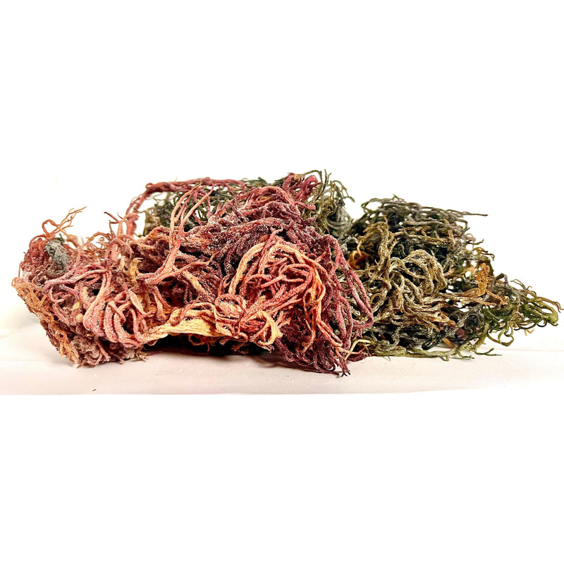 MG Windward Trading LLC Pure Certified Wild Harvested Full Spectrum Organic Raw Sea Moss Raw Sea Moss Wheat 16oz,8oz,4oz