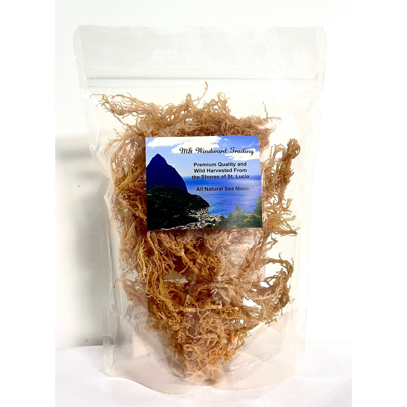 MG Windward Trading LLC Certified Pure Wild Harvested Organic Gold Raw Sea Moss Raw Sea Moss Antique White 4oz,8oz,1 pound,5 pounds,10 pounds,20 pounds