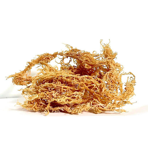 MG Windward Trading LLC Certified Pure Wild Harvested Organic Gold Raw Sea Moss Raw Sea Moss Goldenrod 4oz,8oz,1 pound,5 pounds,10 pounds,20 pounds