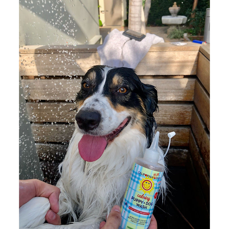 California Baby Calming™ Puppy + Dog Wash Fur Baby Black 10oz/295mL