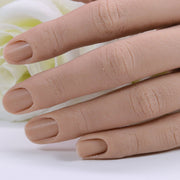 Red Iguana LLC 2.0 Half Silicone Practice Hand 2.0 Hand Rosy Brown Right / Poseable / April,Right / Regular / April,Left / Poseable / April,Left / Regular / April