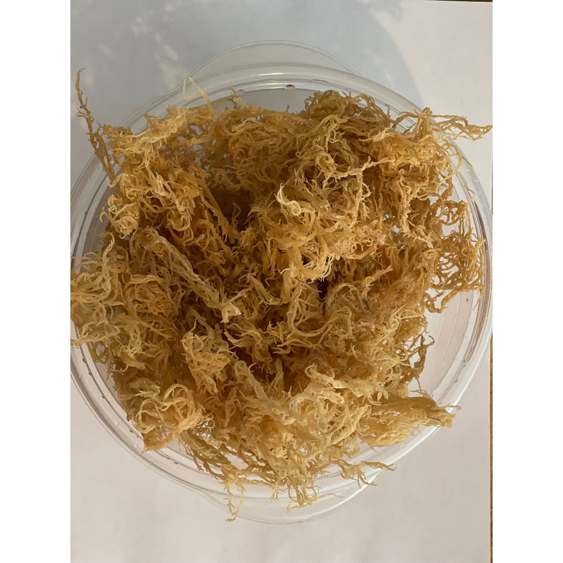 MG Windward Trading LLC Certified Pure Wild Harvested Organic Gold Raw Sea Moss Raw Sea Moss Gray 4oz,8oz,1 pound,5 pounds,10 pounds,20 pounds