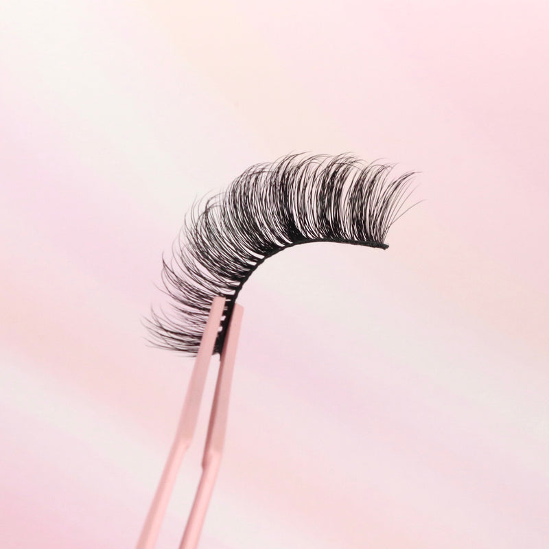 Pink Purée Lily Dark Slate Gray