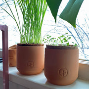 Modern Sprout Pet Tiny Terracotta Grow Kits Indoor Garden Kit Dark Olive Green Curious Catnip,Good Dog Greens