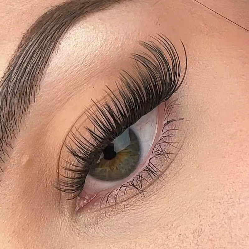 Pink Purée Playdate Multi-Pack DIY Lashes Dark Slate Gray
