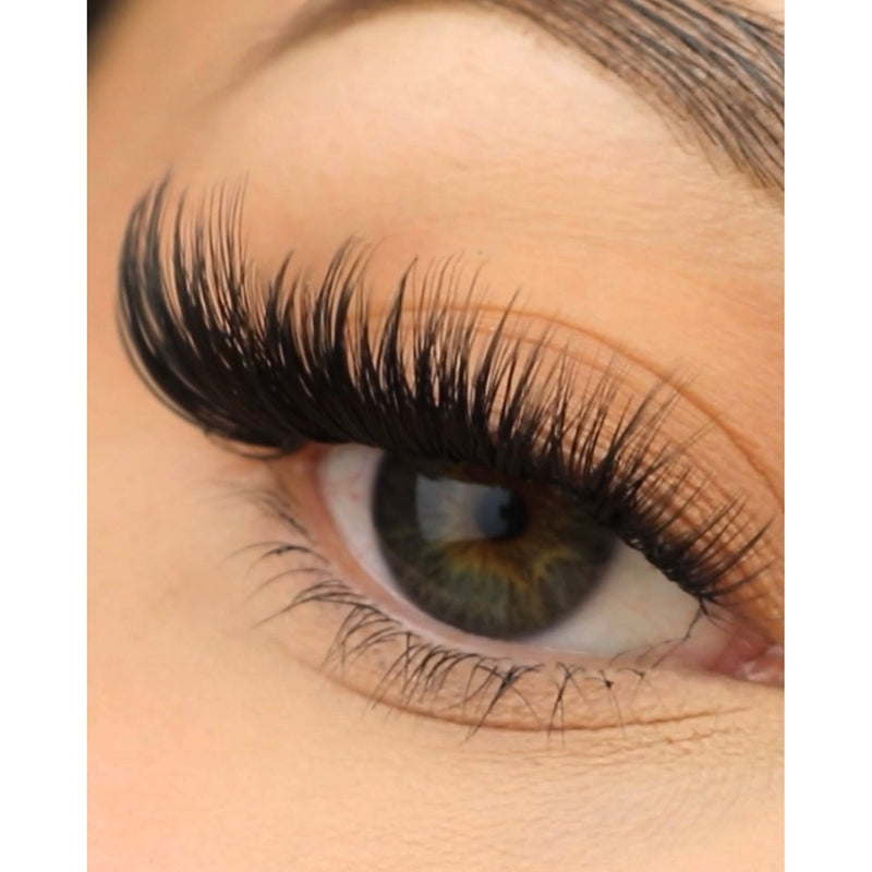Pink Purée Triple Threat DIY Lashes Navajo White 10MM,12MM,14MM,16MM,18MM