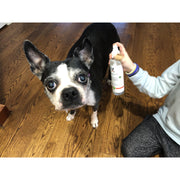 Warren London Dry & Waterless Deep Cleaning Shampoo Dog Shampoo Dark Olive Green Green Apple,Guava & Mango